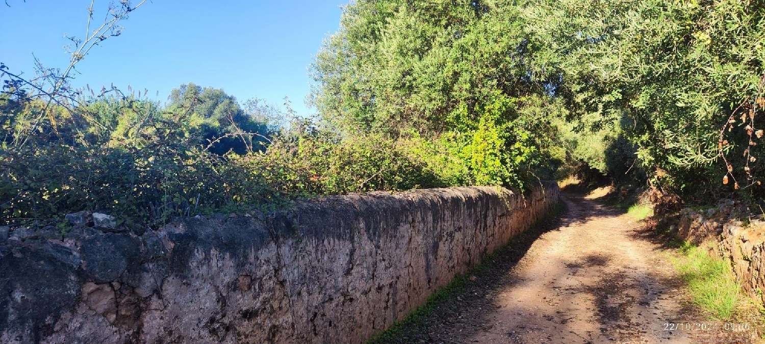  à venda terreno Loulé Loulé 8