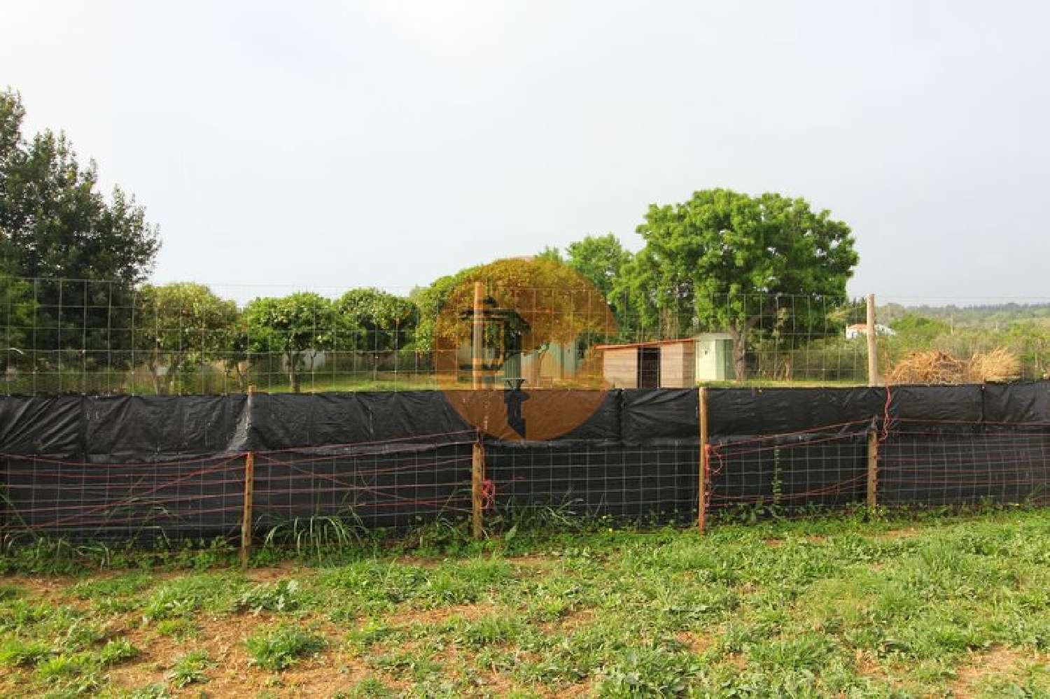  te koop terrein Luz Lagos 5