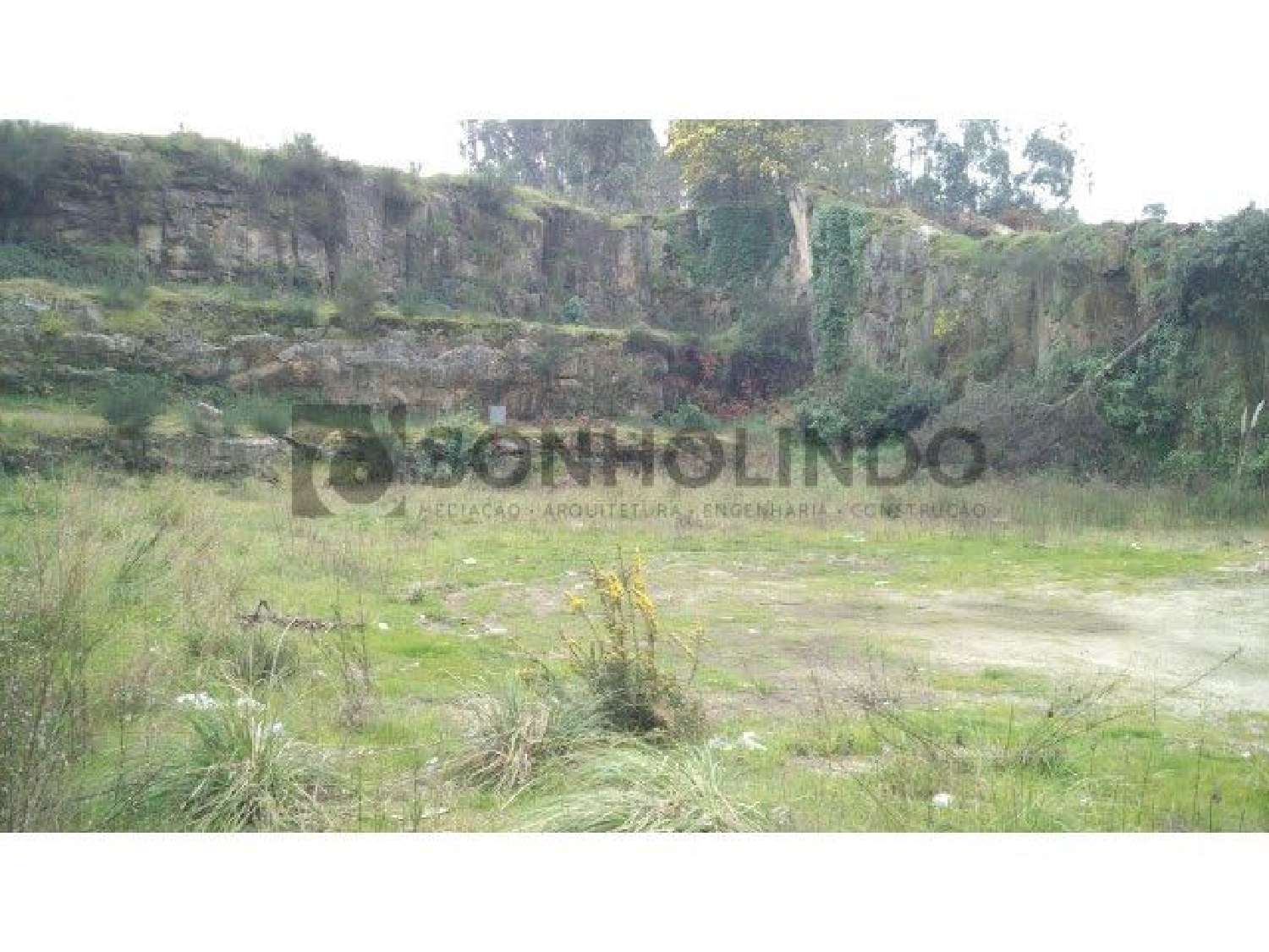for sale terrain Milheiros Ferreira Do Zêzere 3