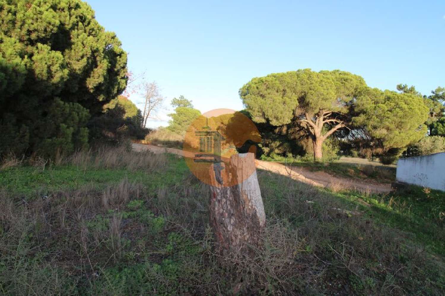  te koop terrein Montenegro Faro 7