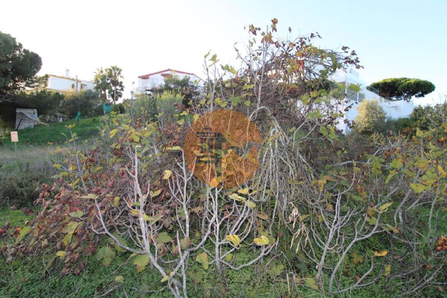  te koop terrein Montenegro Faro 8