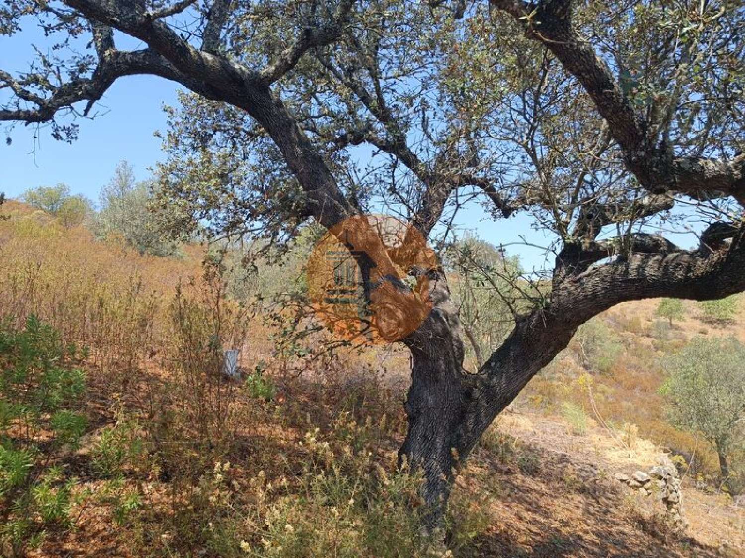  for sale terrain Odeleite Castro Marim 5