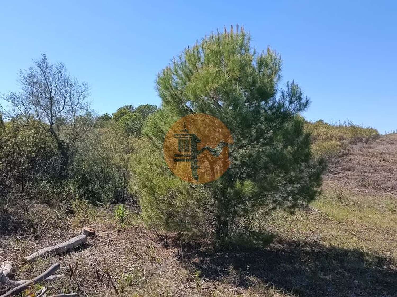  à venda terreno Odeleite Castro Marim 3
