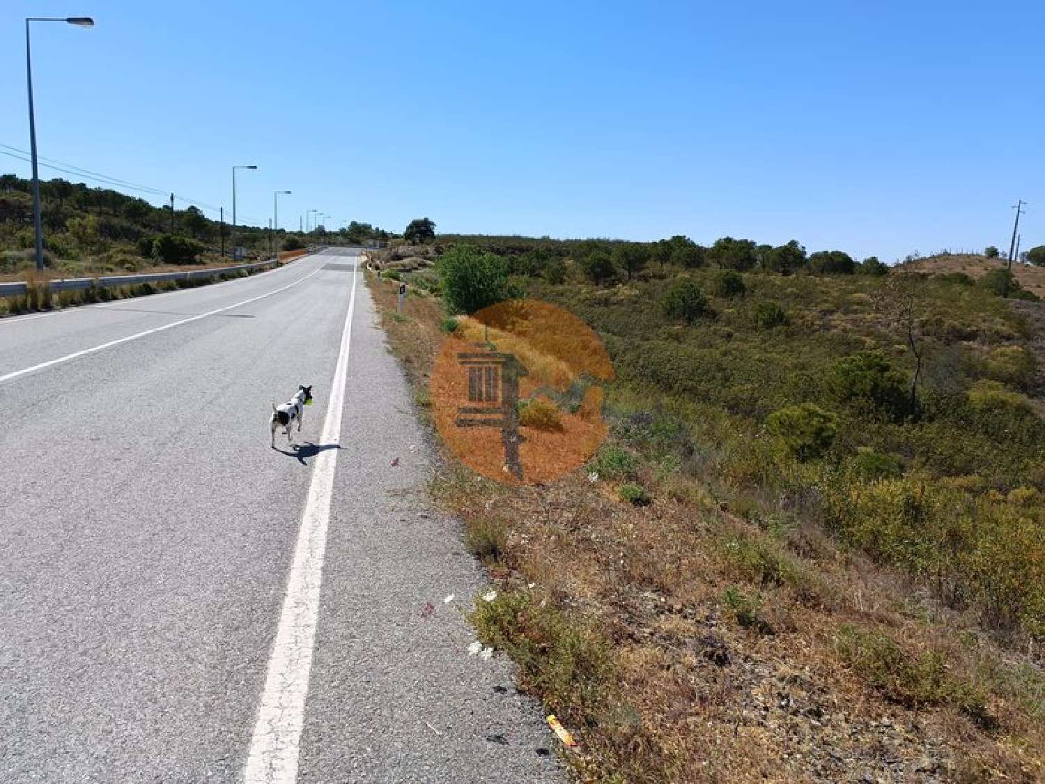  à venda terreno Odeleite Castro Marim 4