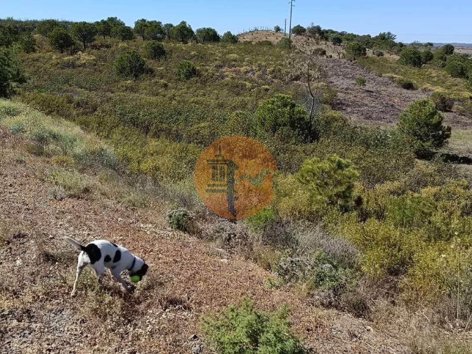  à venda terreno Odeleite Castro Marim 6