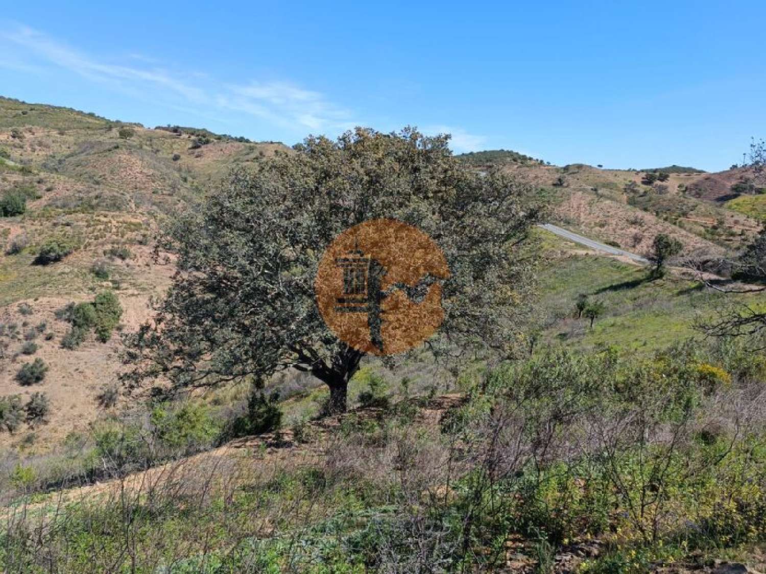  en venta terreno Odeleite Castro Marim 3