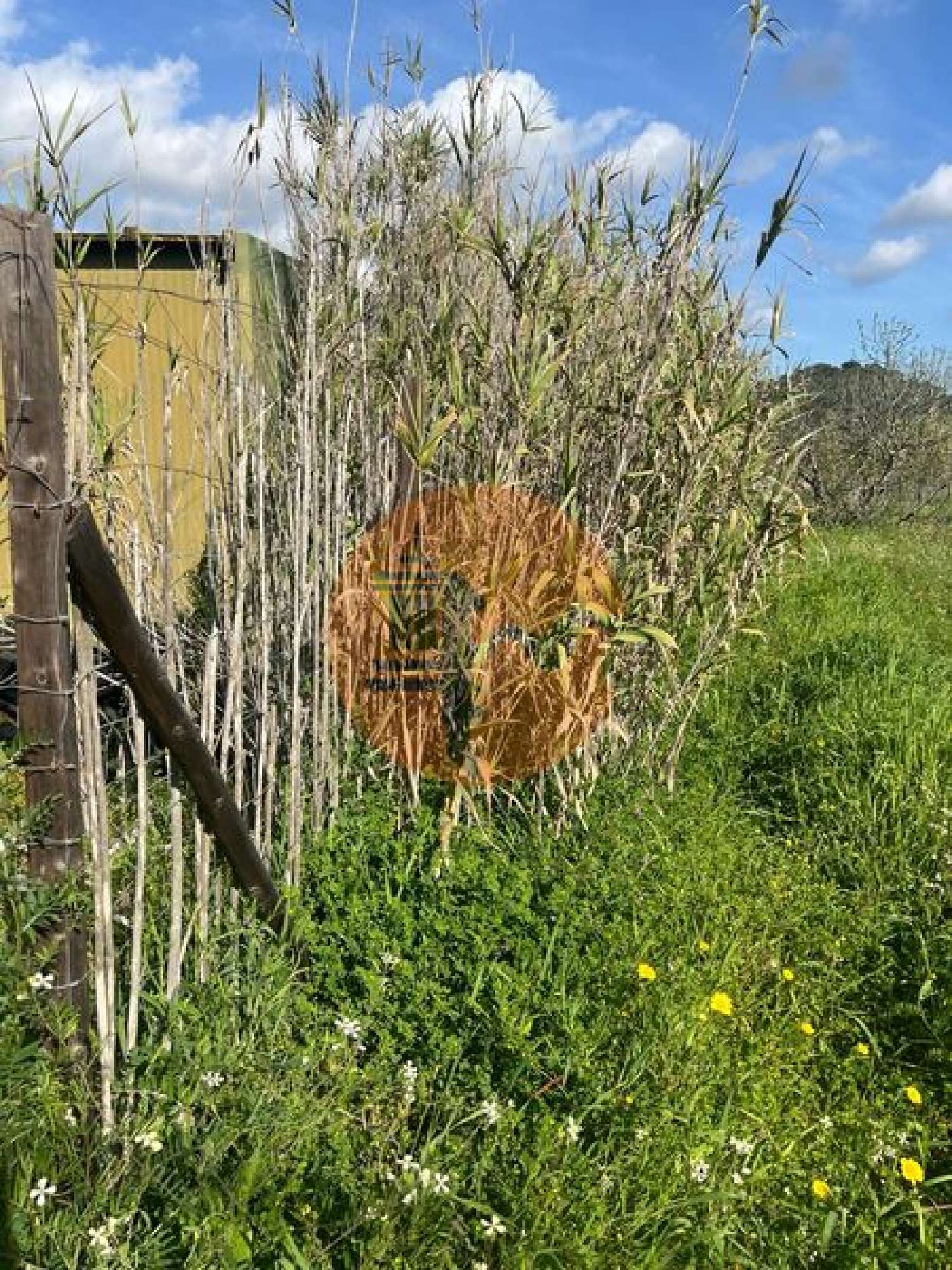  à venda terreno Odeleite Castro Marim 6
