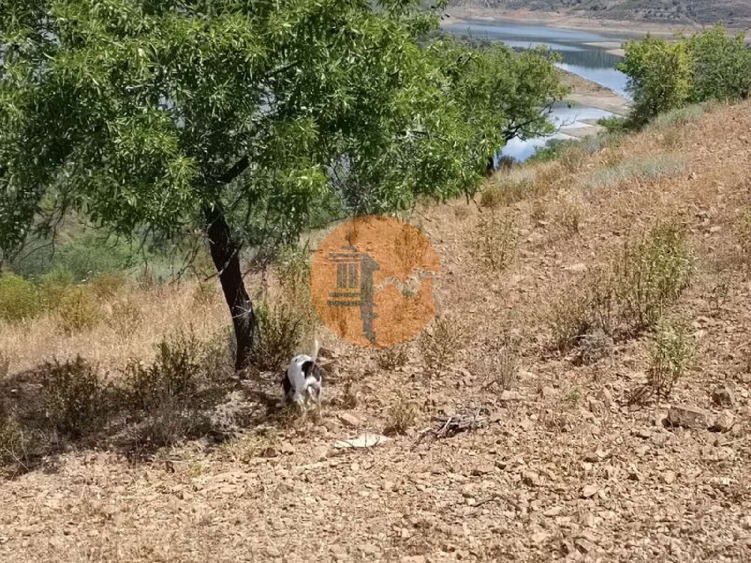  en venta terreno Odeleite Castro Marim 5