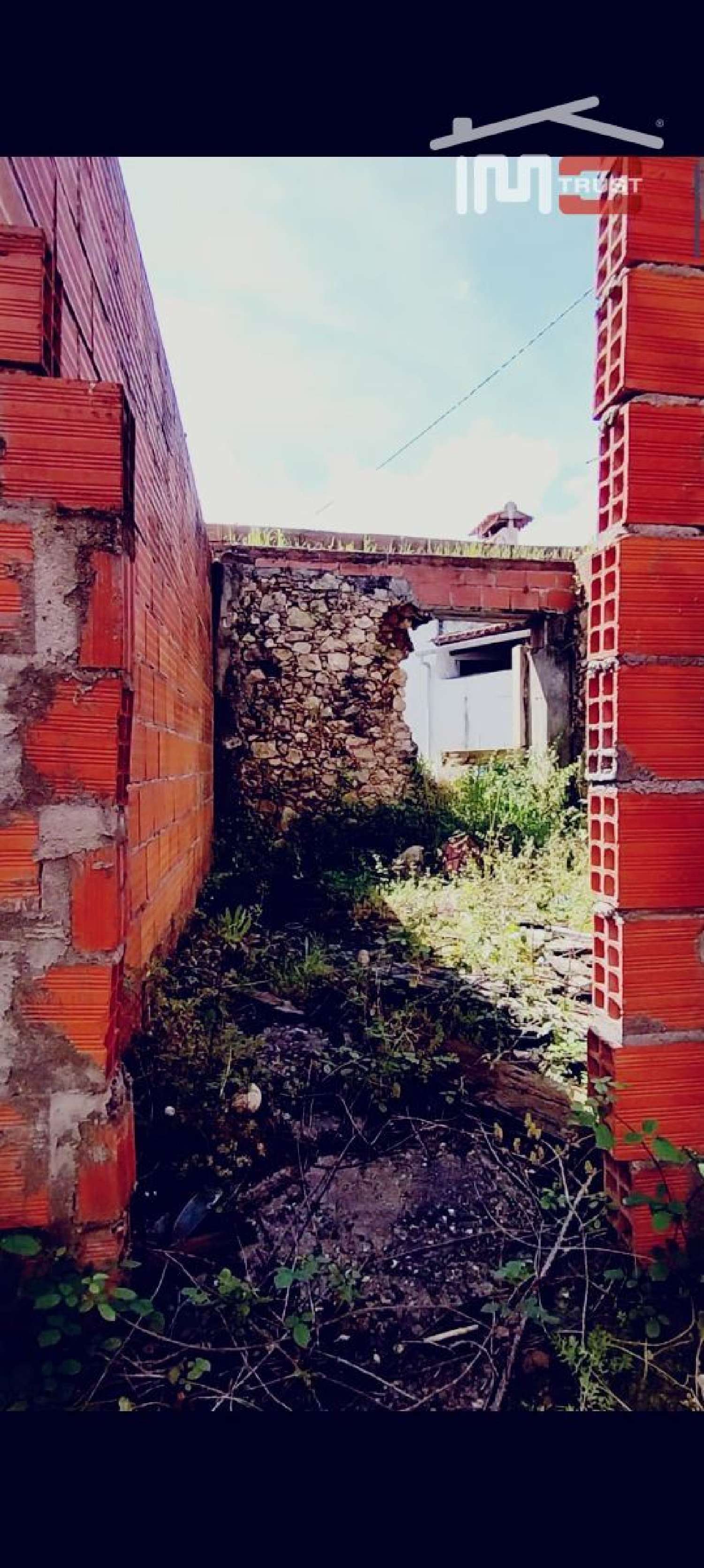  à venda terreno Pedrógão Torres Novas 3