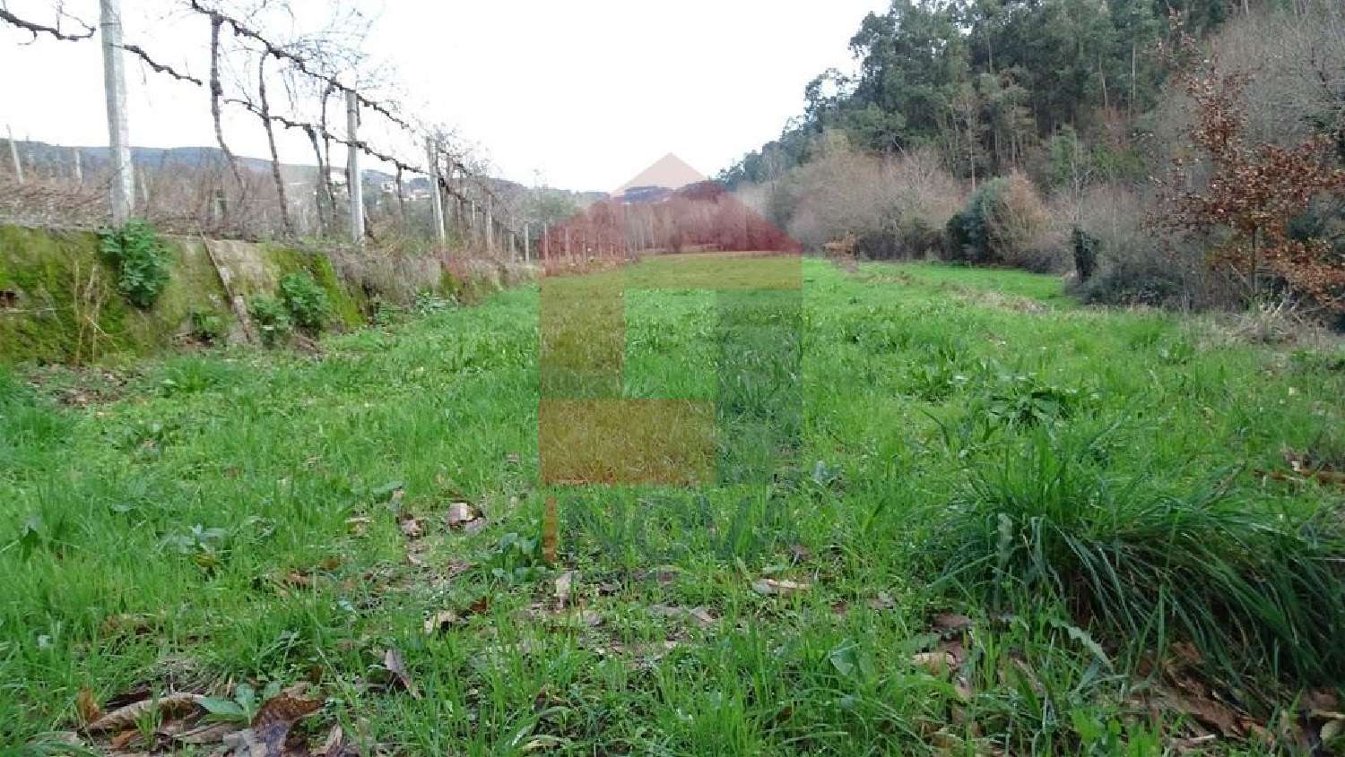 te koop terrein Ribeira Vila Verde 2