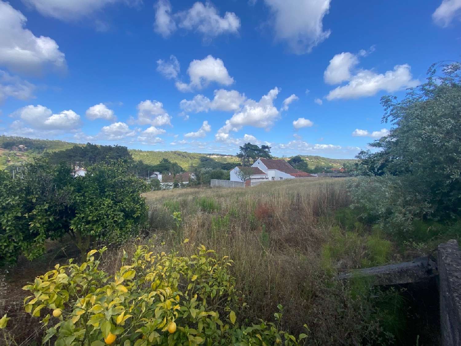  à venda terreno Salir de Matos Caldas Da Rainha 1