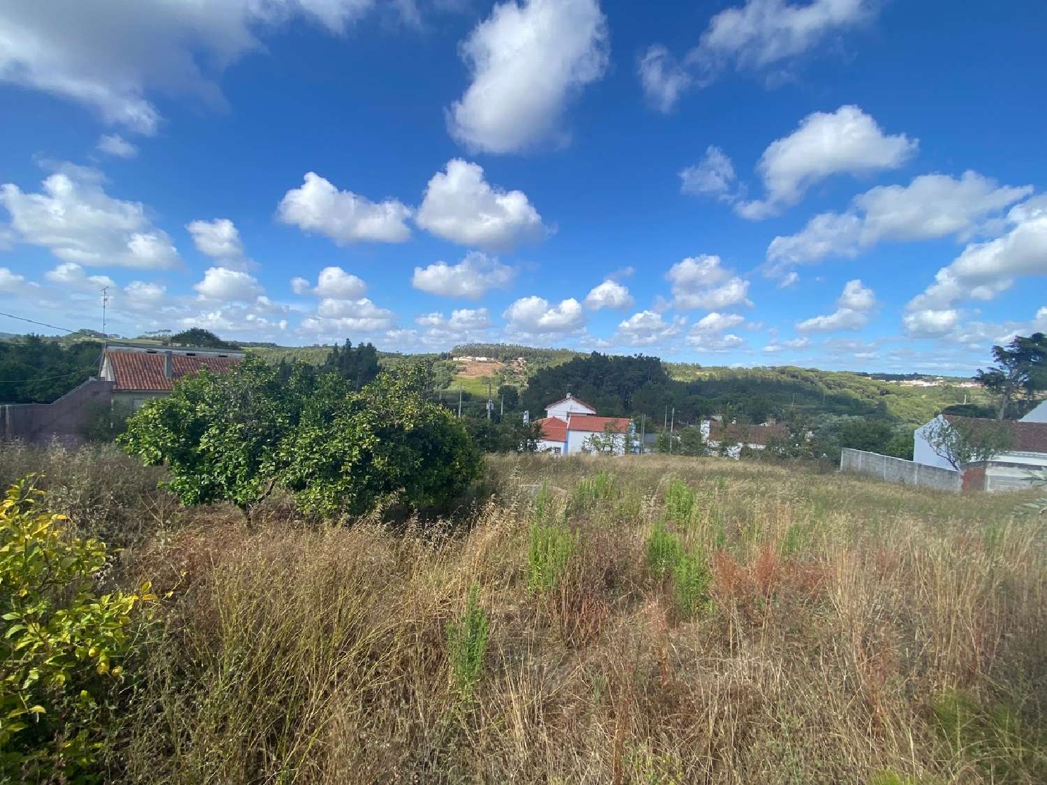  à venda terreno Salir de Matos Caldas Da Rainha 6