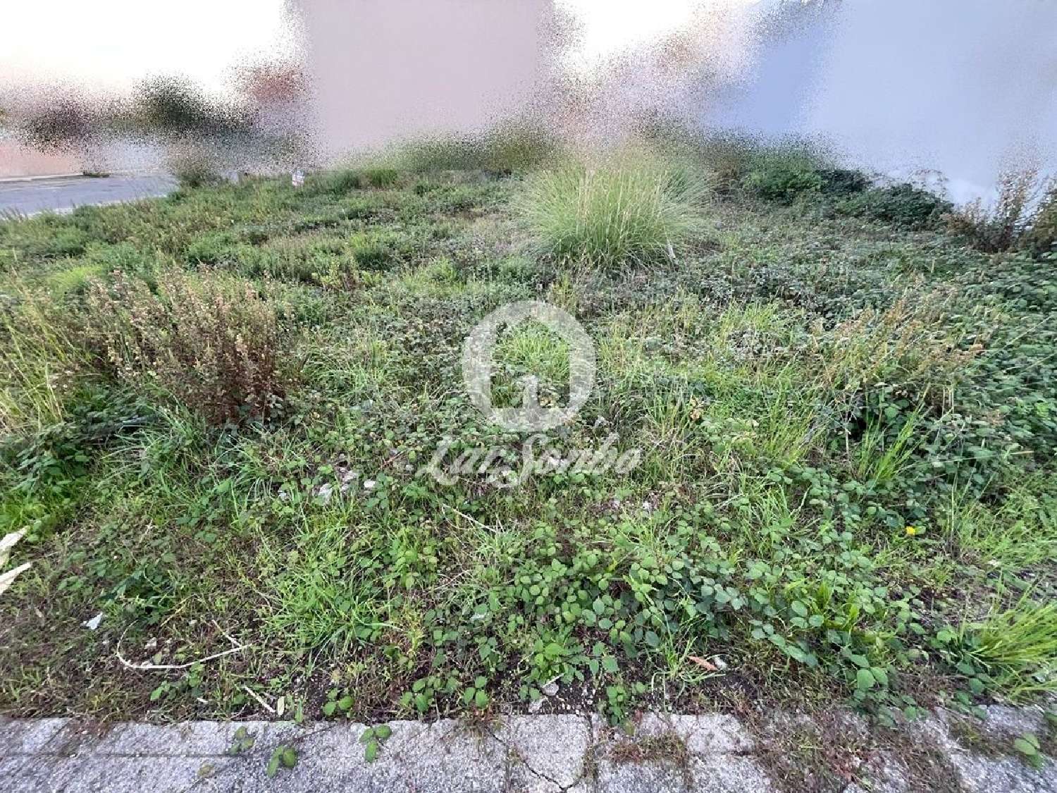 à venda terreno São Romão do Coronado Trofa 1