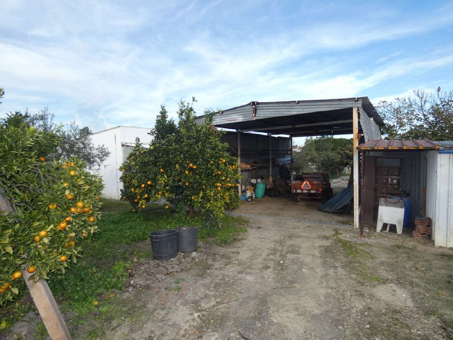  à venda terreno Santo Estevão Benavente 8