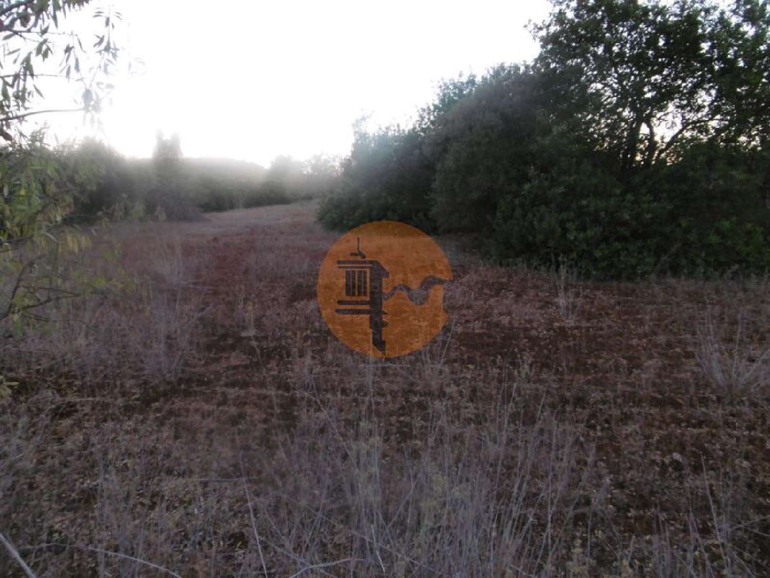  en venta terreno São Bartolomeu de Messines Silves 1