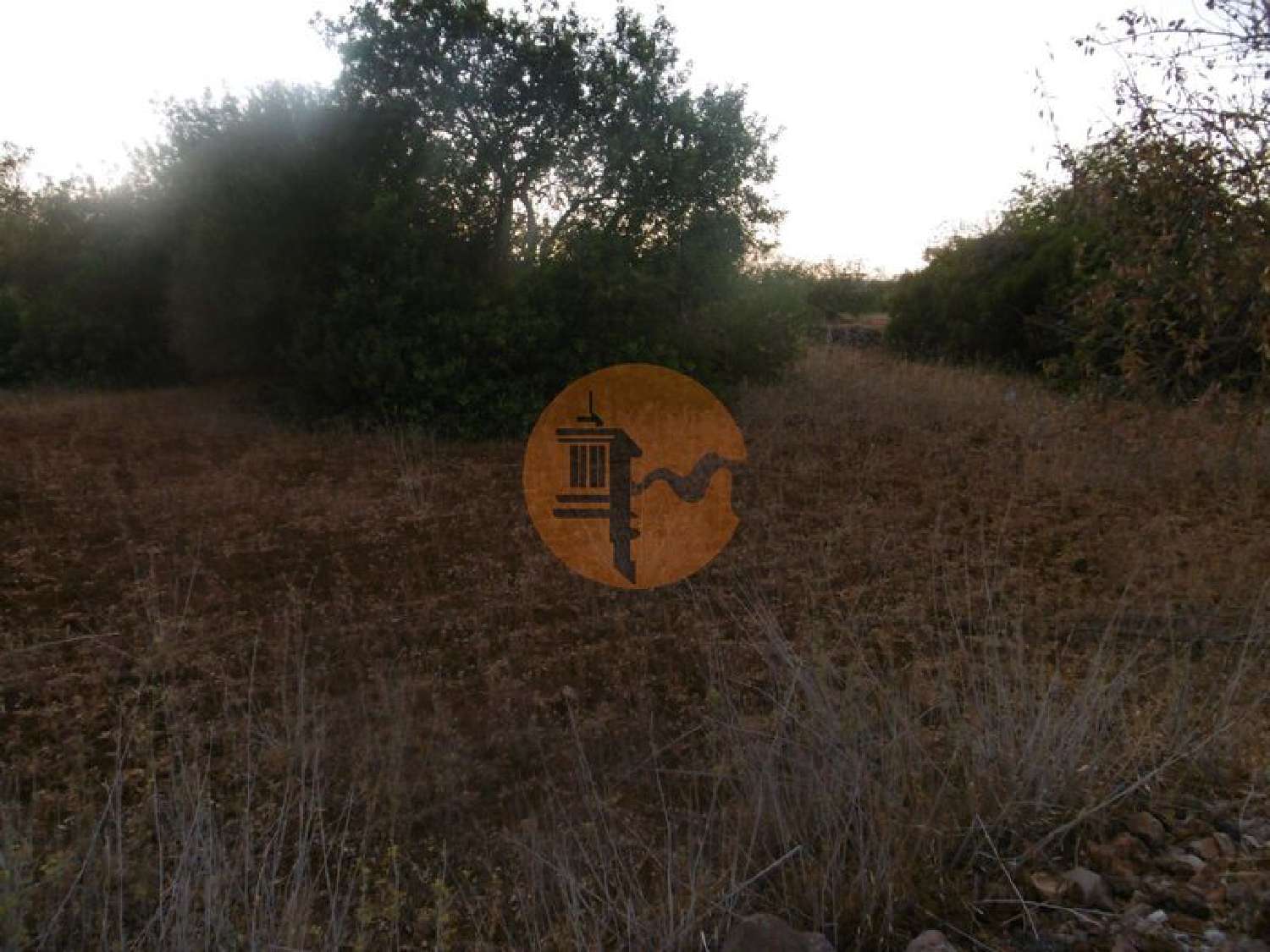  en venta terreno São Bartolomeu de Messines Silves 2