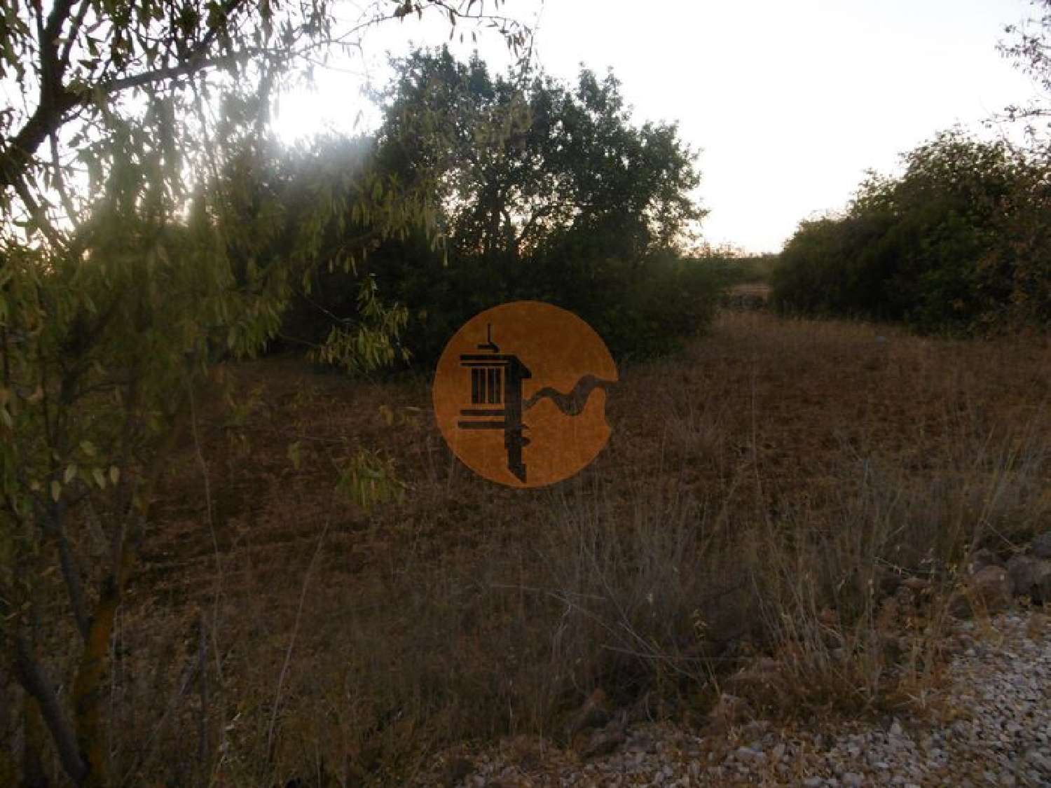  en venta terreno São Bartolomeu de Messines Silves 3