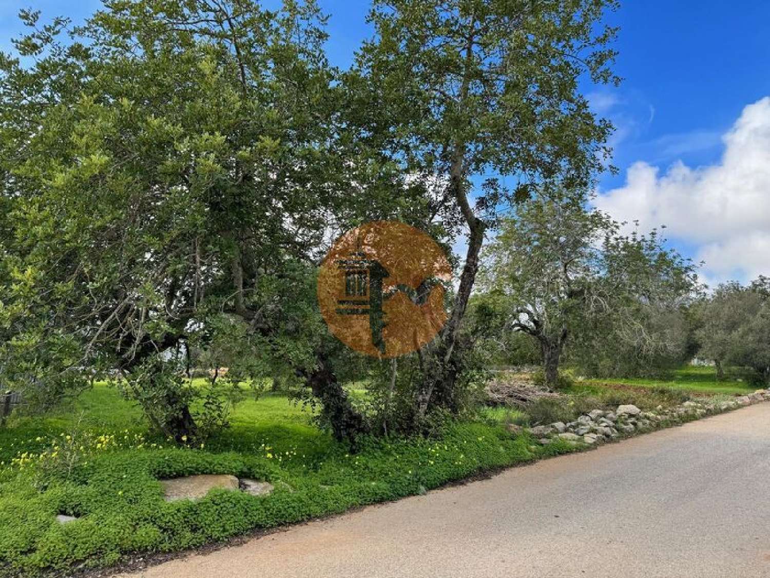  te koop terrein São Brás de Alportel São Brás De Alportel 3