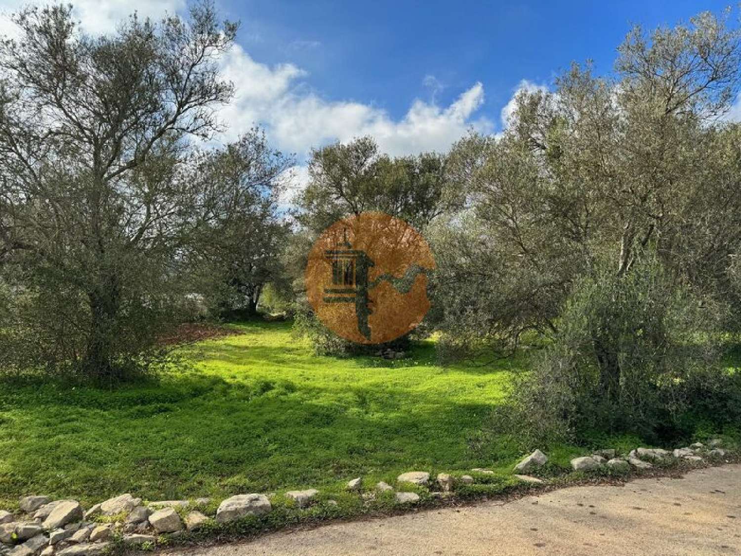  te koop terrein São Brás de Alportel São Brás De Alportel 4