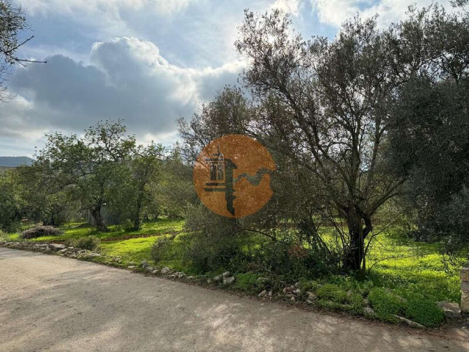  te koop terrein São Brás de Alportel São Brás De Alportel 5