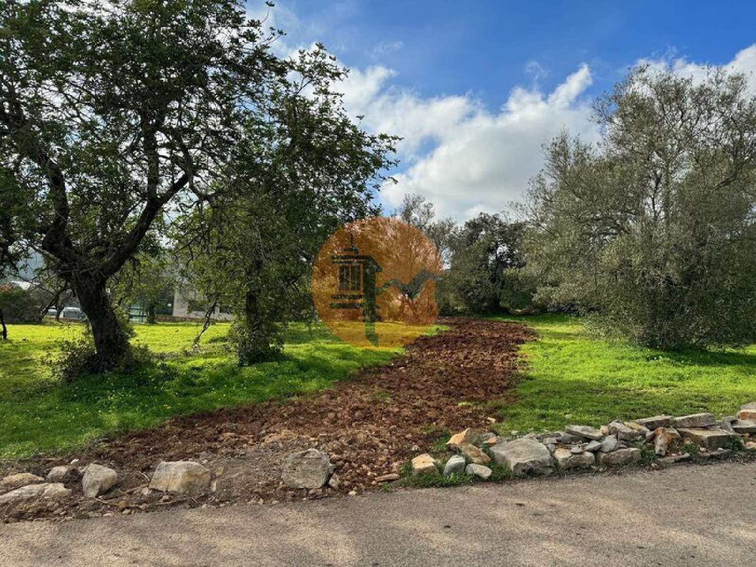  te koop terrein São Brás de Alportel São Brás De Alportel 6