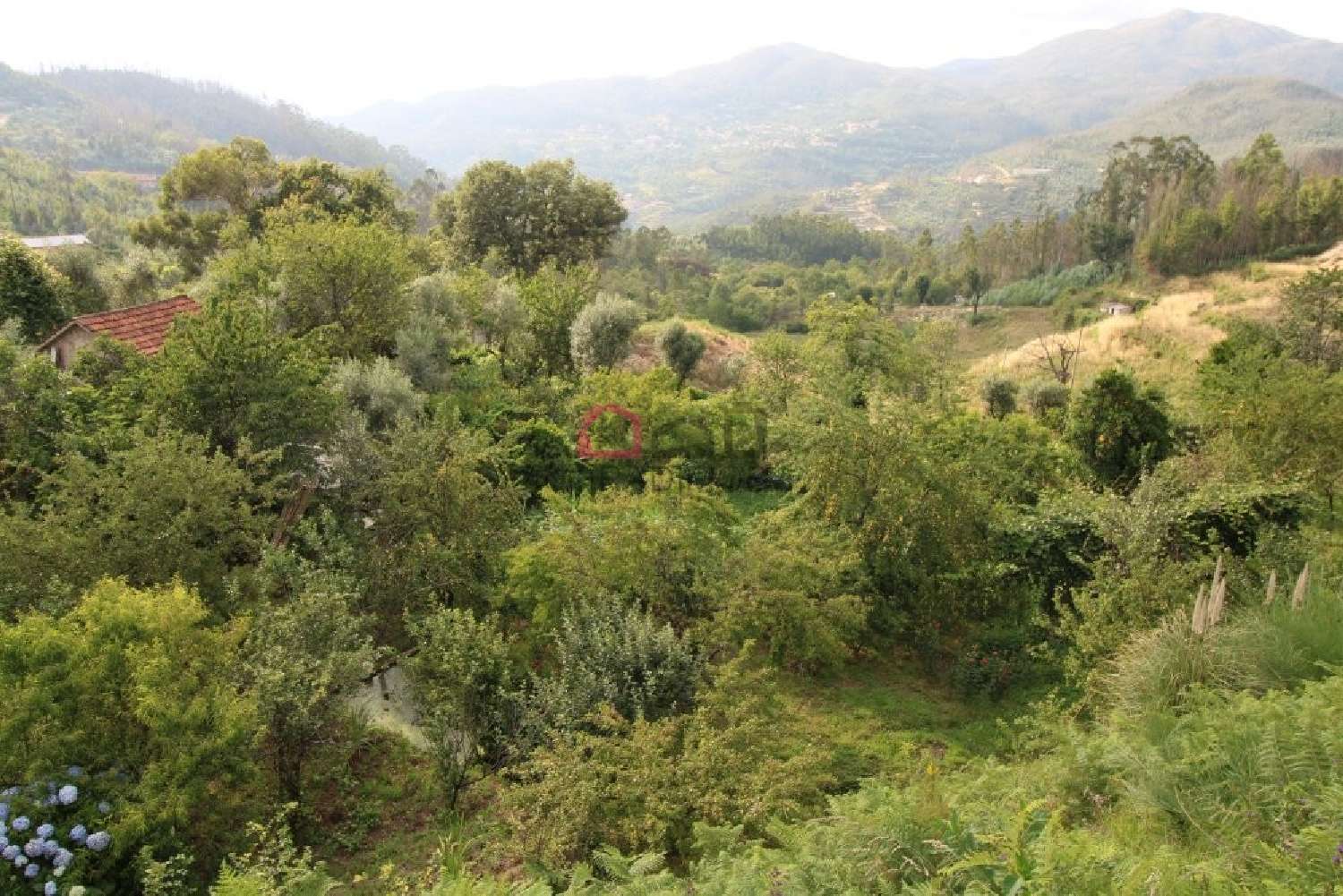 for sale terrain Souto Castro Daire 3