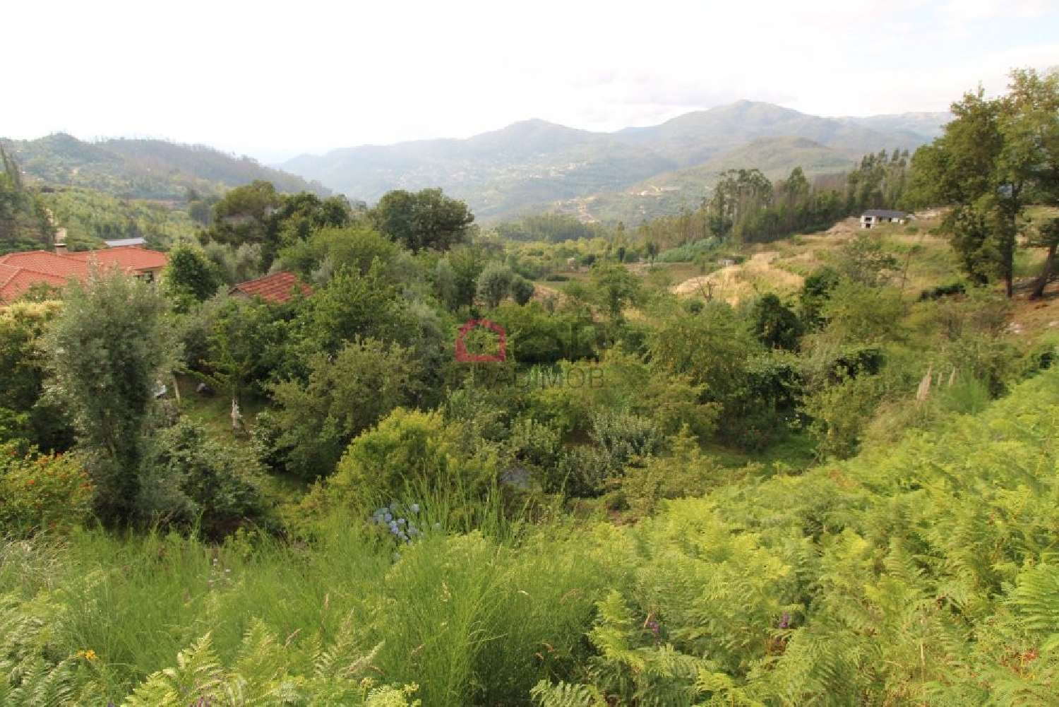  en venta terreno Souto Castro Daire 5