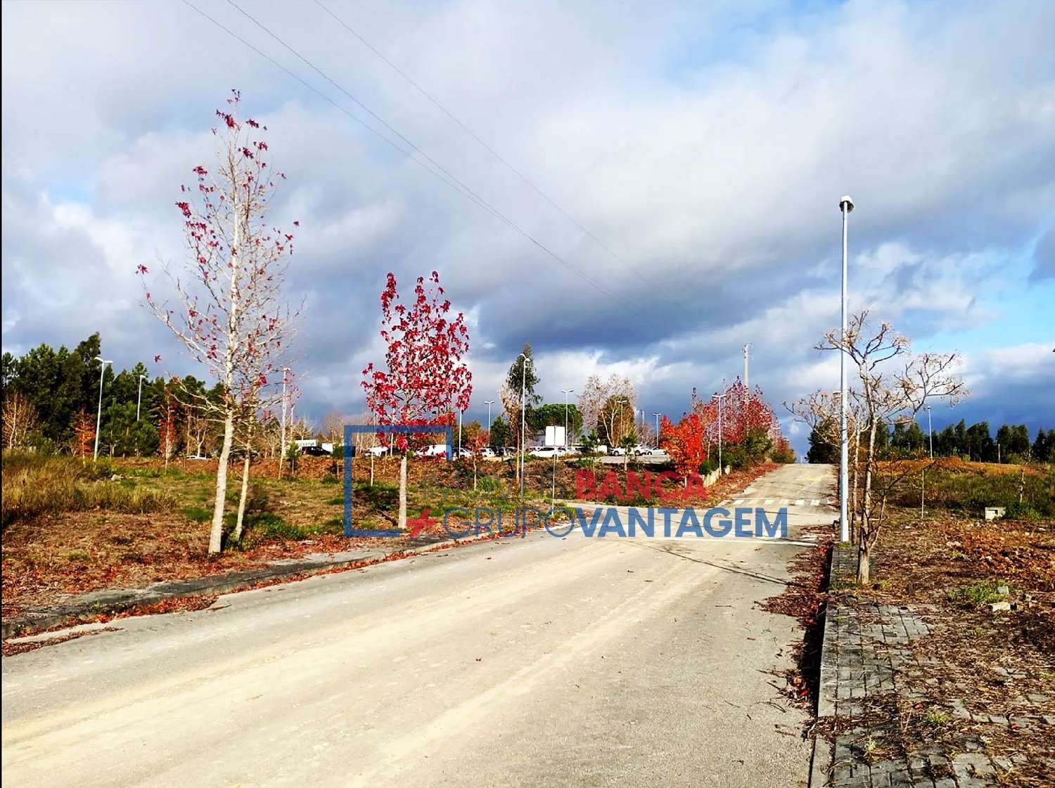  te koop terrein Valongo do Vouga Águeda 1