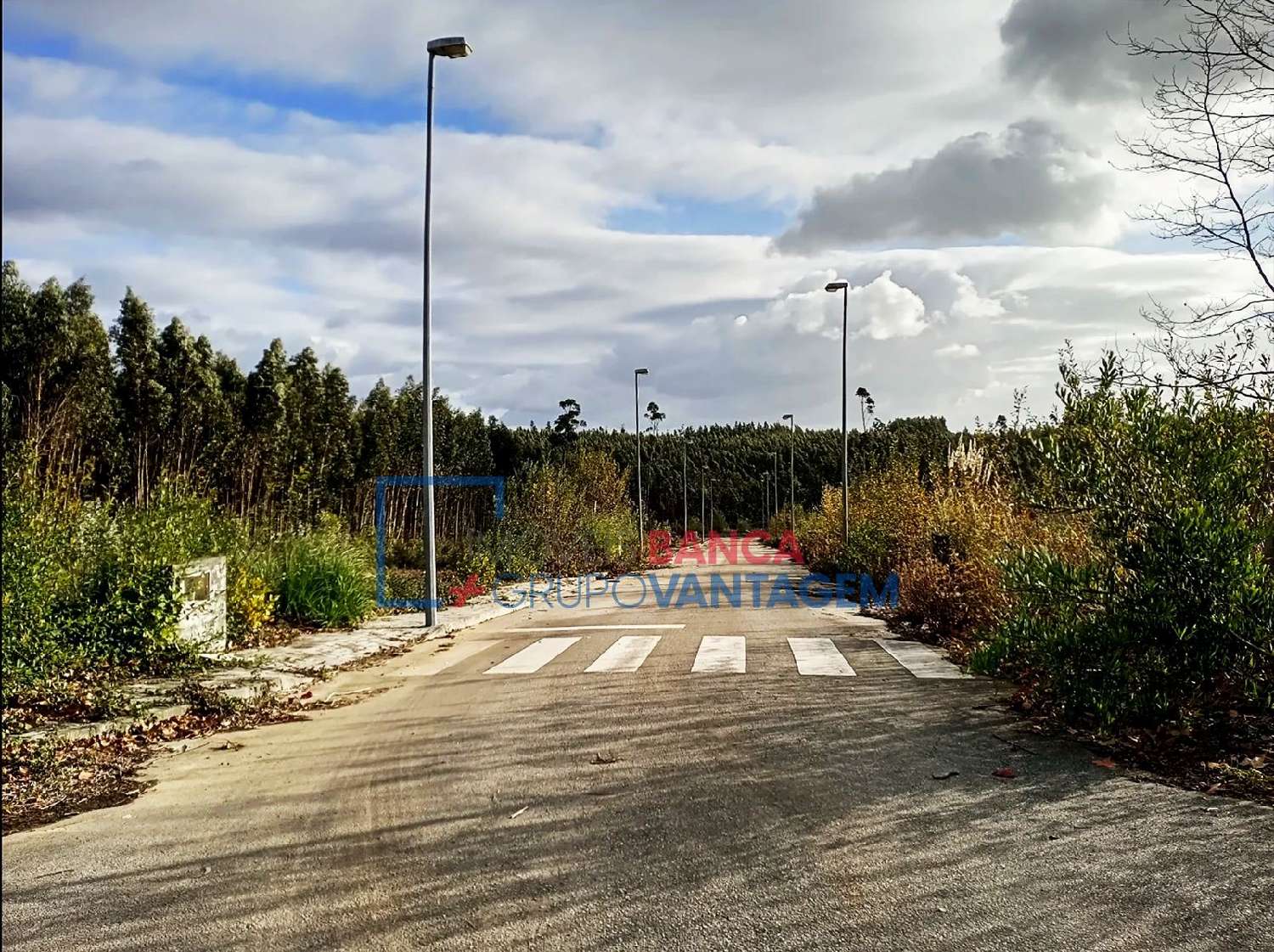  te koop terrein Valongo do Vouga Águeda 2