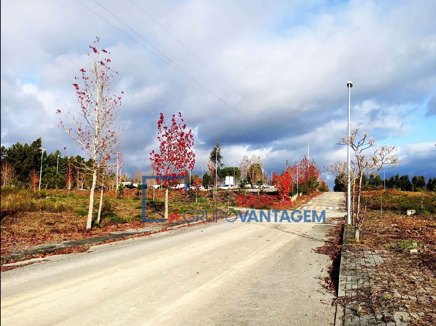  en venta terreno Valongo do Vouga Águeda 1
