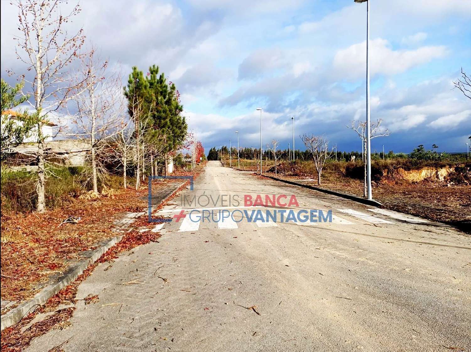à venda terreno Valongo do Vouga Águeda 3
