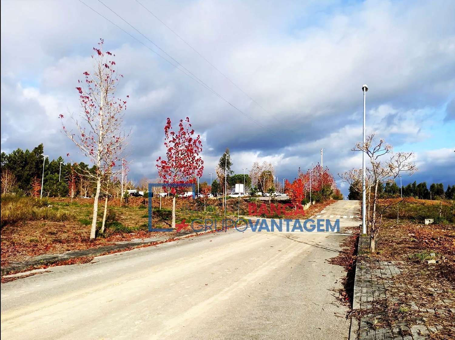  à venda terreno Valongo do Vouga Águeda 1