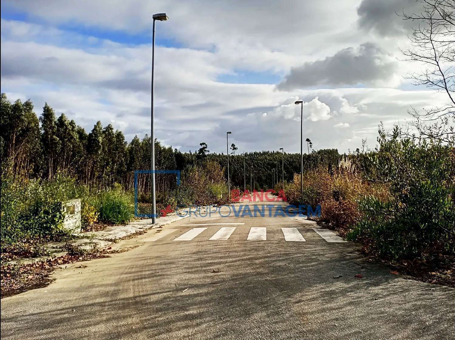  à venda terreno Valongo do Vouga Águeda 2