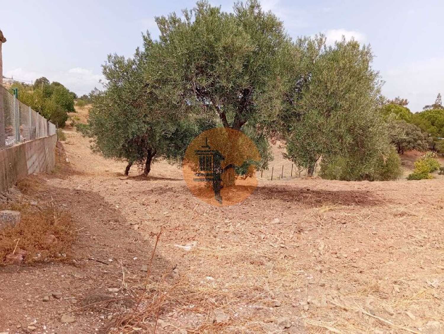  à venda terreno Vila Nova de Cacela Vila Real De Santo António 8