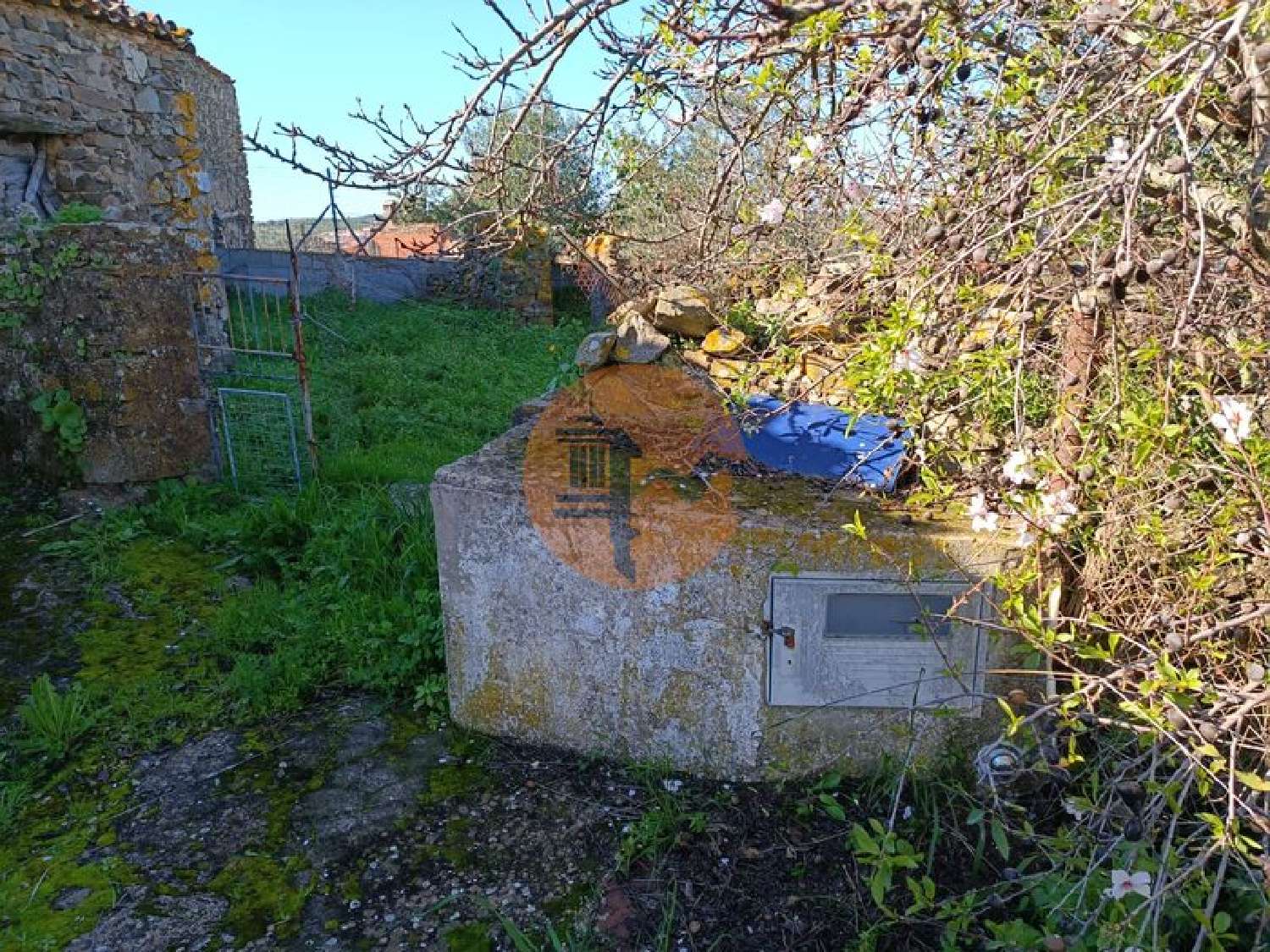  à venda vila Alcoutim Alcoutim 3