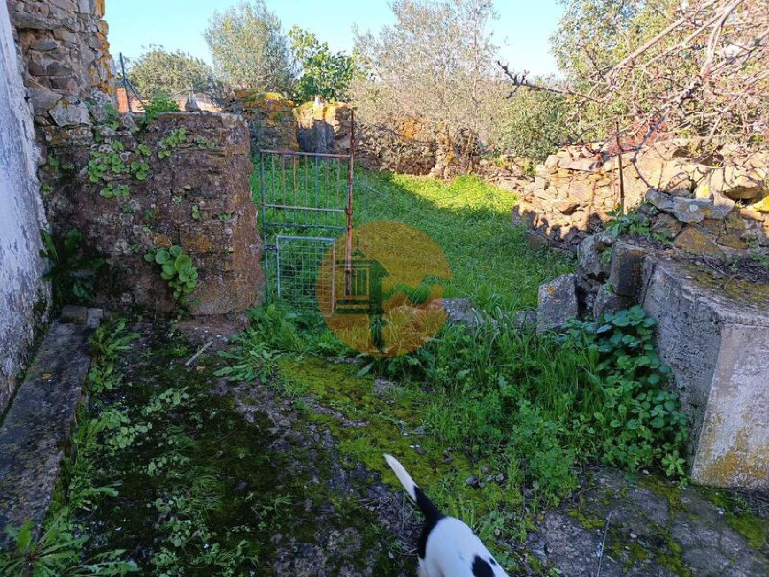  à venda vila Alcoutim Alcoutim 4
