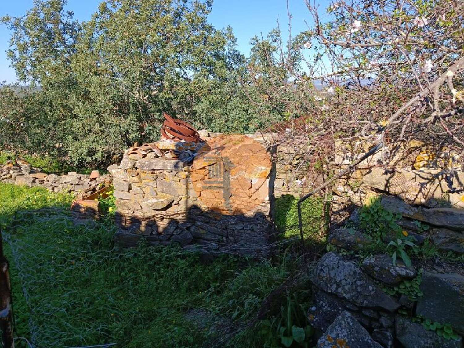  à venda vila Alcoutim Alcoutim 6