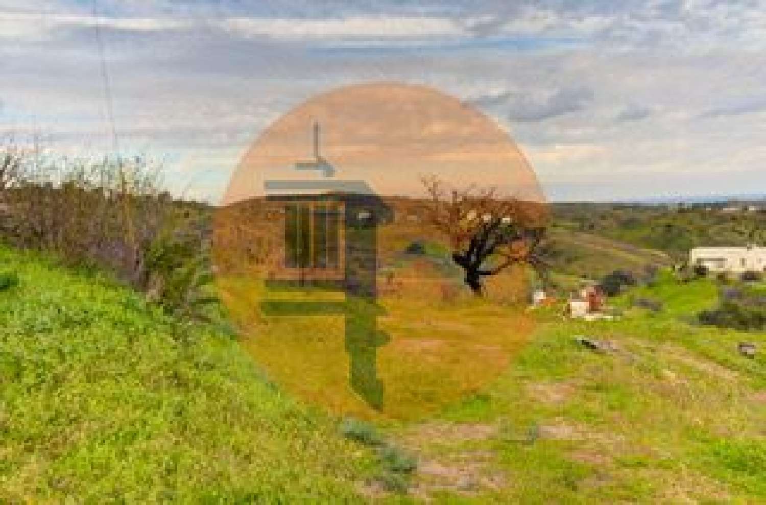  à venda vila Conceição Faro 3