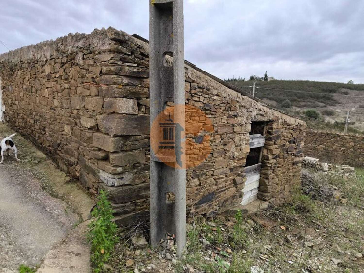  à venda vila Conceição Faro 2