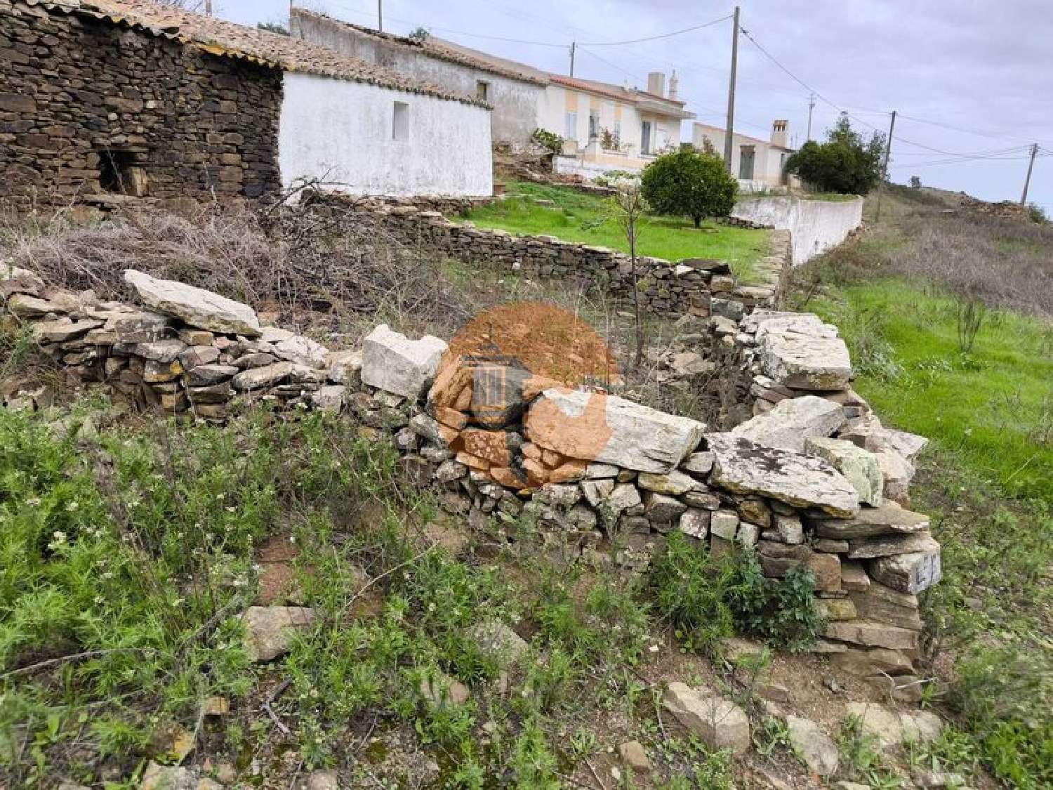  à venda vila Conceição Faro 7