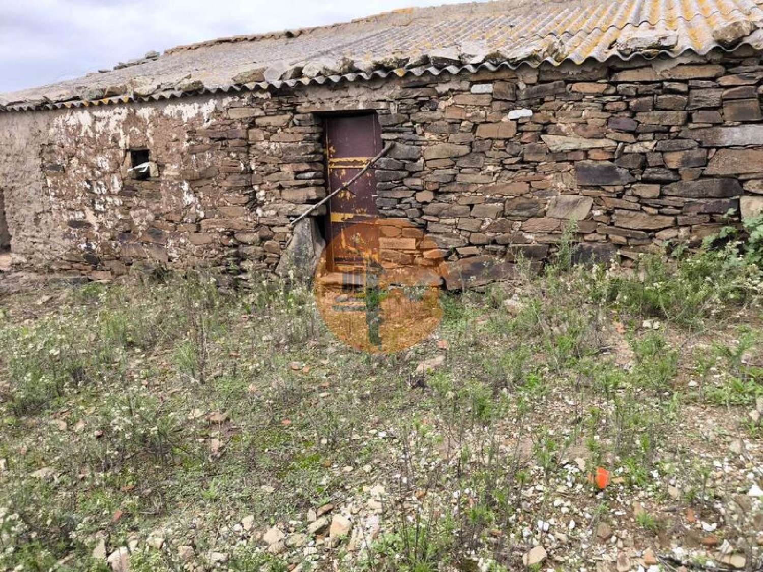  à venda vila Conceição Faro 4