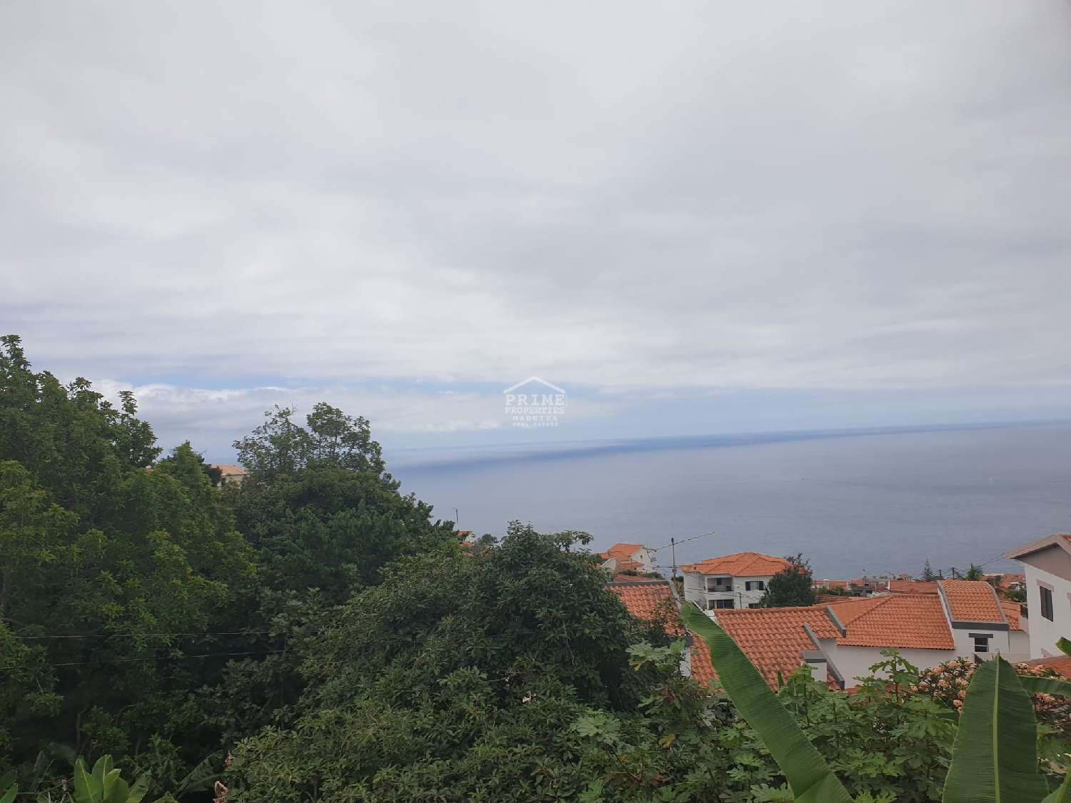  à venda vila Funchal Funchal 4