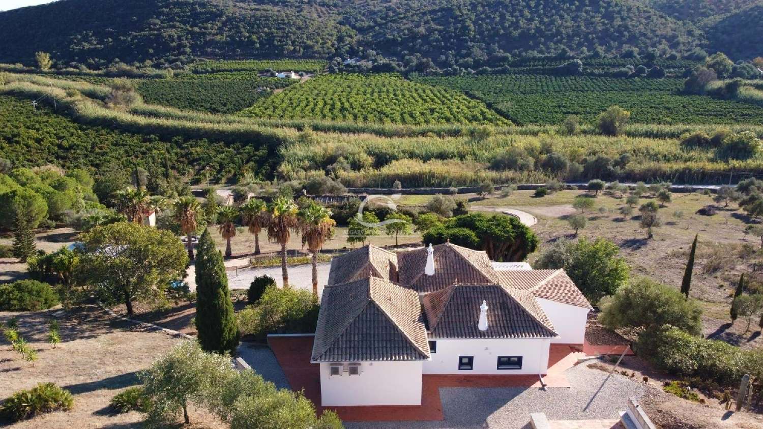  for sale villa Loulé Loulé 3