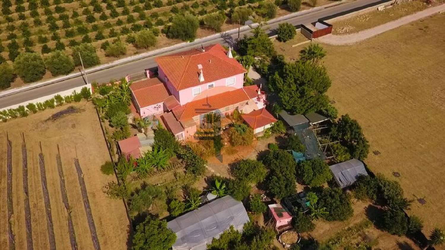  à venda vila Luz Lagos 5