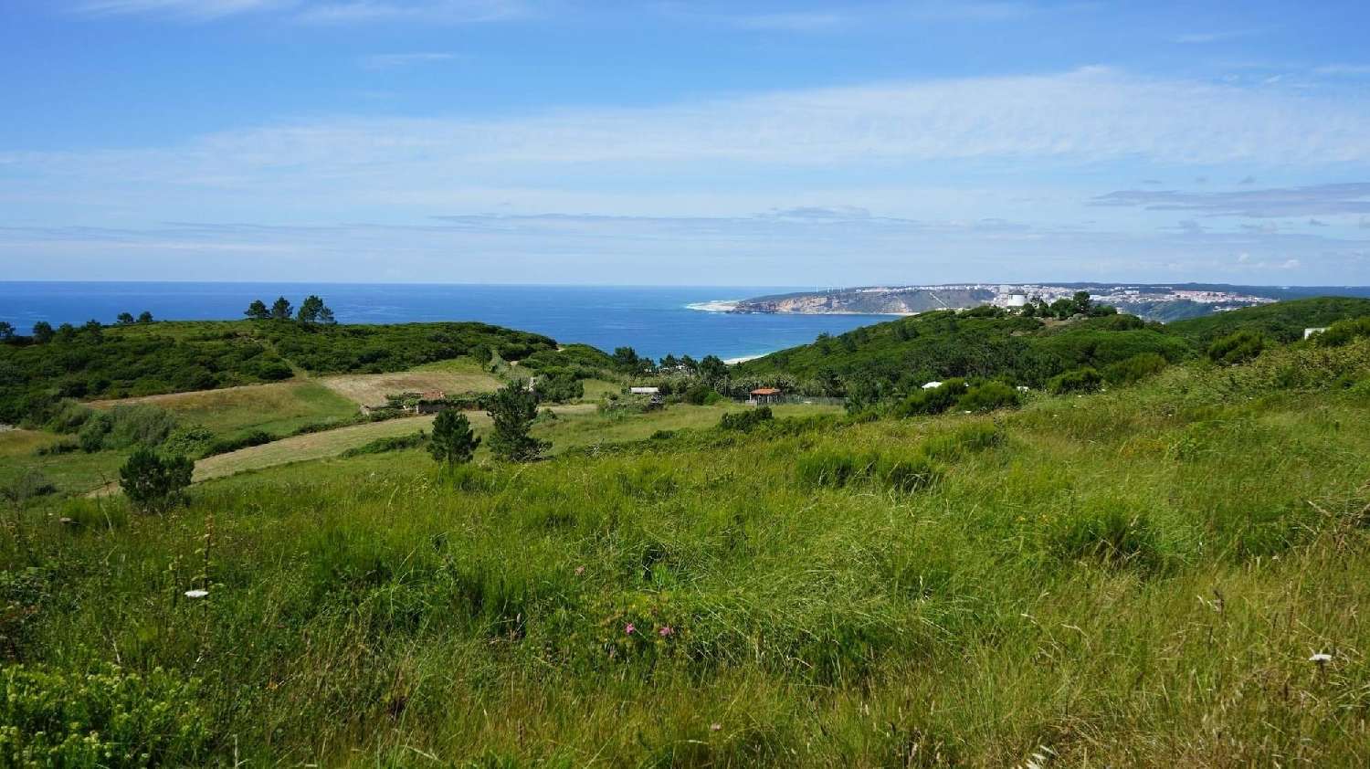  à venda vila Nazaré Nazaré 6