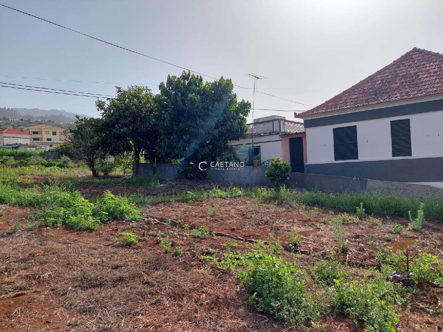  te koop villa Ponta do Sol Ponta Do Sol 8