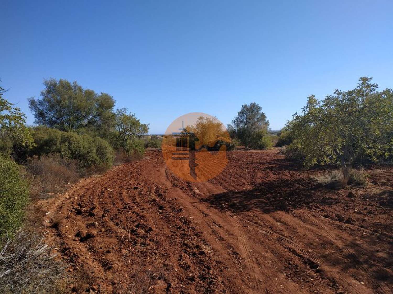  en venta villa Quelfes Olhão 7