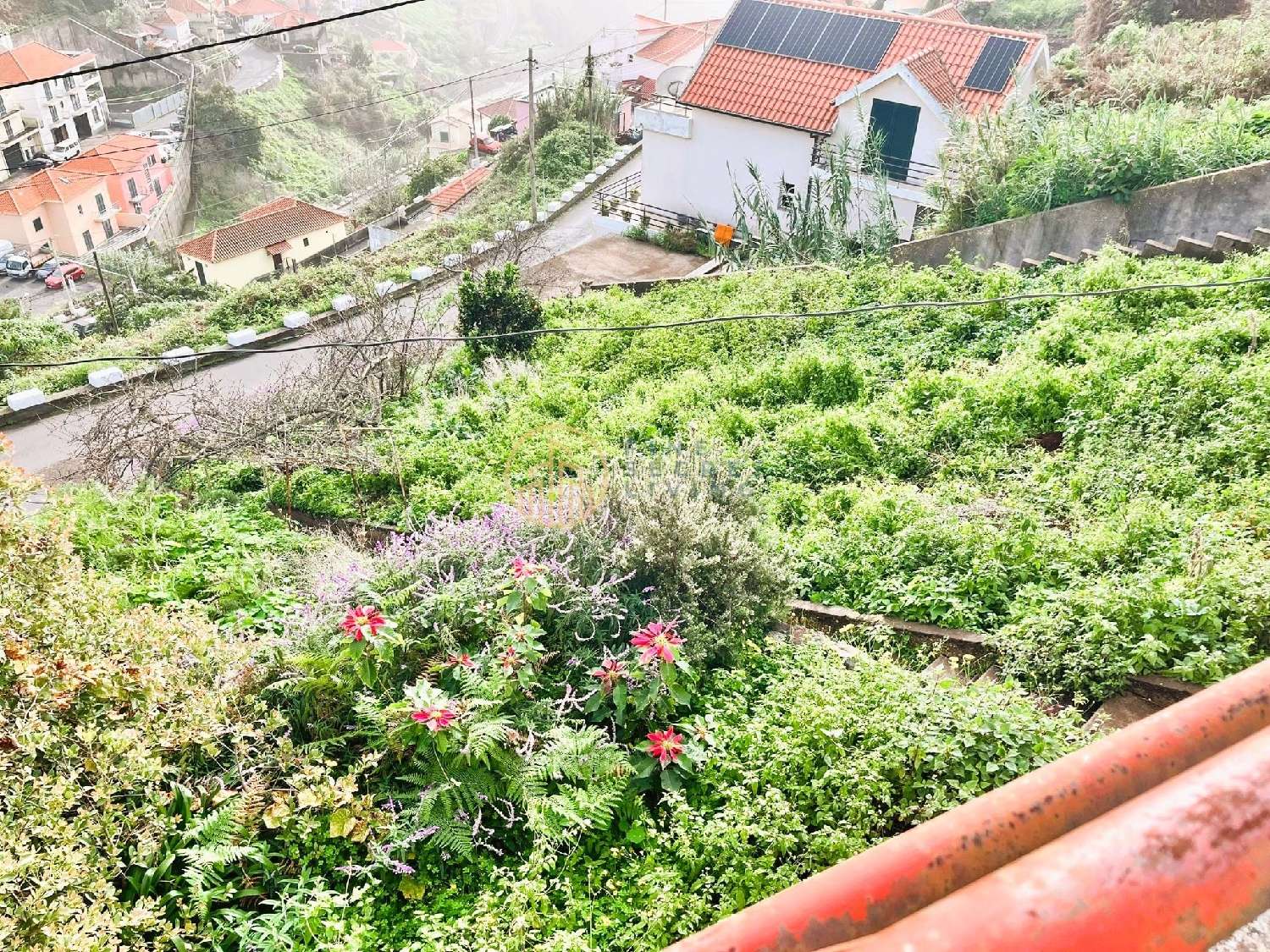  à venda vila Ribeira Brava Ribeira Brava 2
