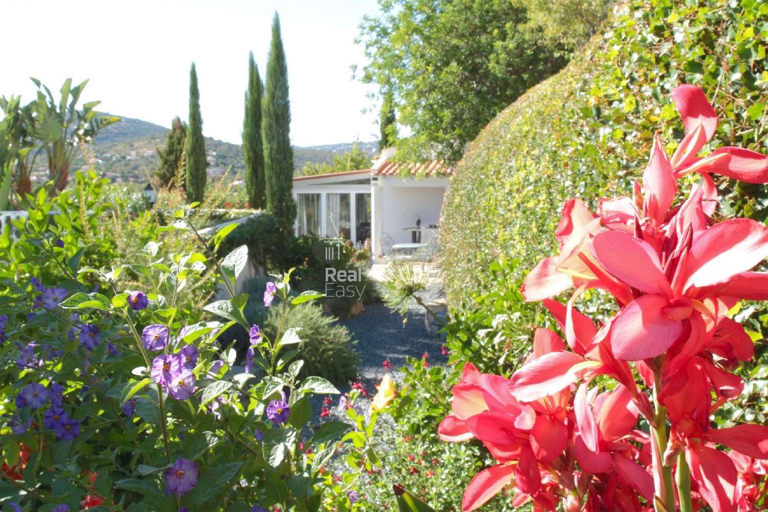  te koop villa São Brás de Alportel São Brás De Alportel 2