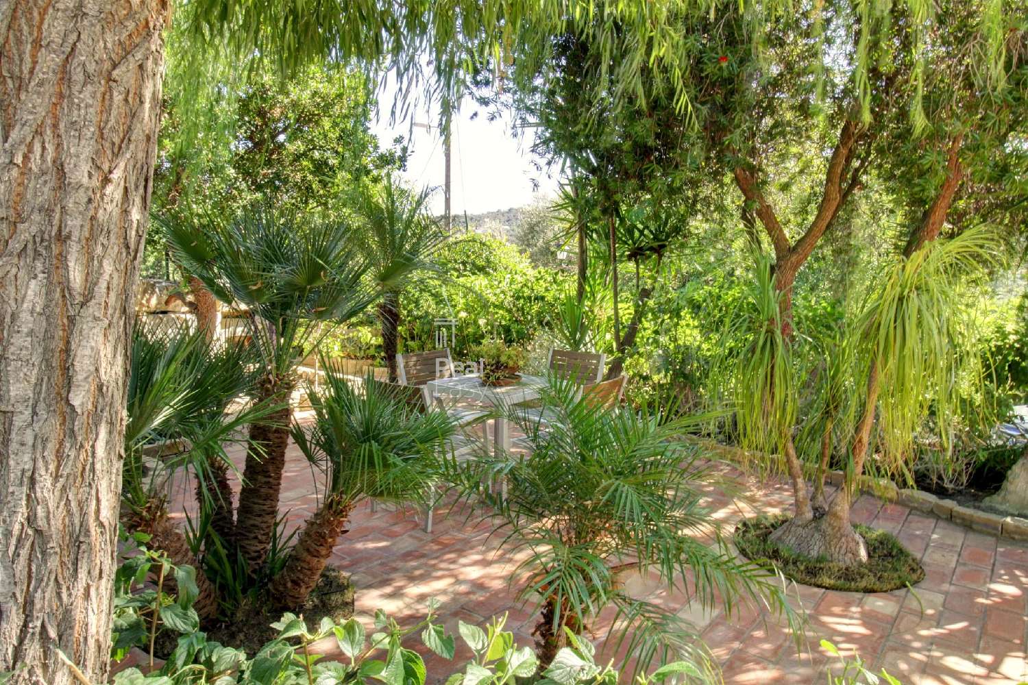  te koop villa São Brás de Alportel São Brás De Alportel 6